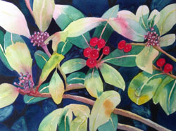 Berries, watercolour