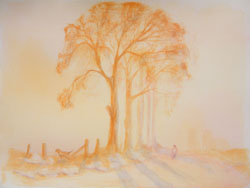 Trees, watercolour